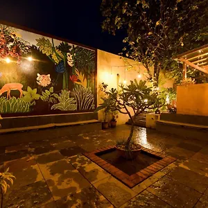 Safari Quest Hotel