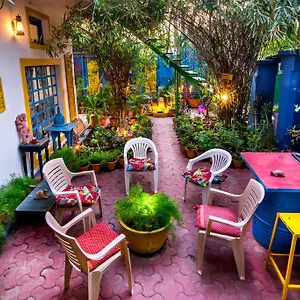 https://the-coral-house-homestay.agrahotelsindia.net